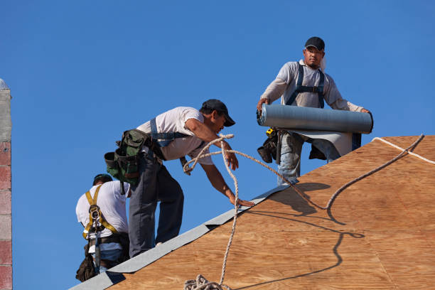 Best Storm Damage Roof Repair  in Waynesboro, MS